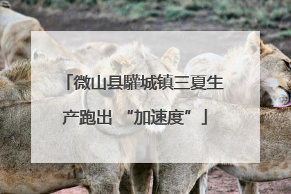 微山县驩城镇三夏生产跑出 “加速度”
