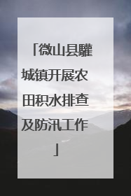 微山县驩城镇开展农田积水排查及防汛工作
