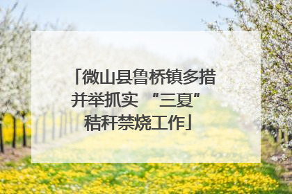 微山县鲁桥镇多措并举抓实 “三夏” 秸秆禁烧工作