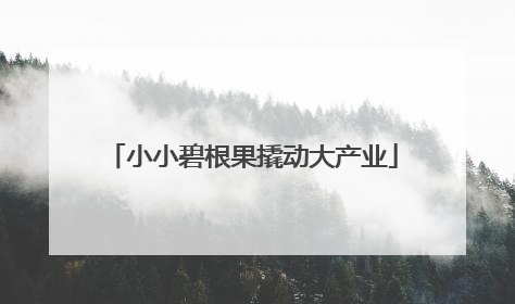 小小碧根果撬动大产业
