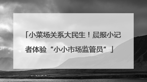 小菜场关系大民生！晨报小记者体验“小小市场监管员”