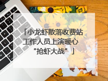 小龙虾散落收费站 工作人员上演暖心“抢虾大战”