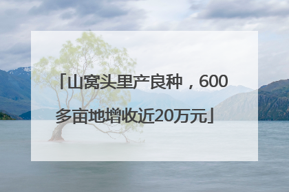 山窝头里产良种，600多亩地增收近20万元