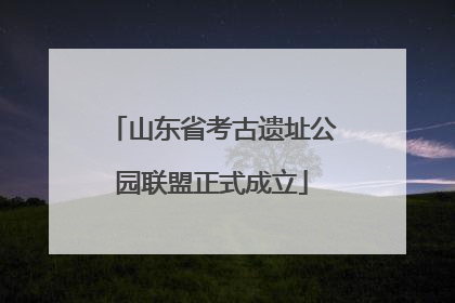 山东省考古遗址公园联盟正式成立