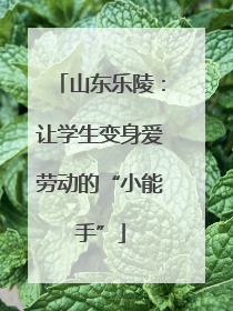 山东乐陵：让学生变身爱劳动的“小能手”