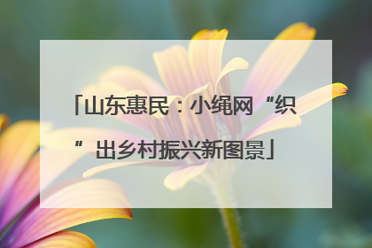 山东惠民：小绳网“织”出乡村振兴新图景