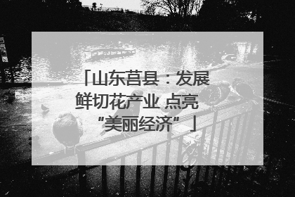 山东莒县：发展鲜切花产业 点亮“美丽经济”