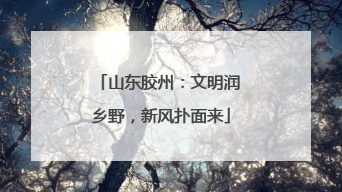 山东胶州：文明润乡野，新风扑面来