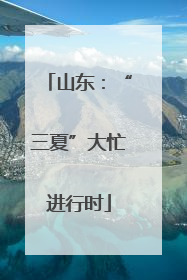 山东：“三夏”大忙进行时