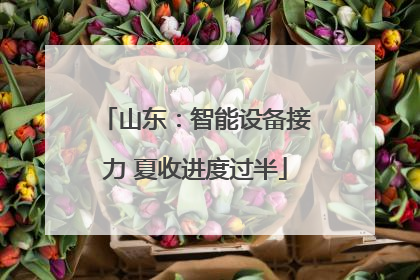 山东：智能设备接力 夏收进度过半