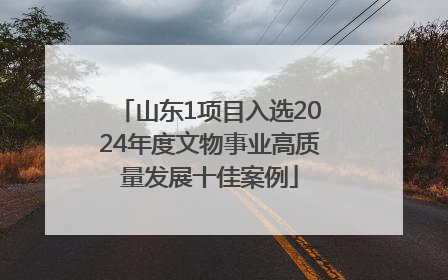 山东1项目入选2024年度文物事业高质量发展十佳案例