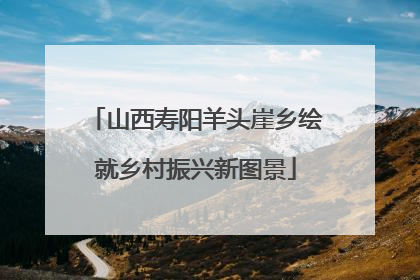 山西寿阳羊头崖乡绘就乡村振兴新图景