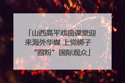 山西高平戏曲课堂迎来海外华媒 上党梆子“圈粉”国际观众