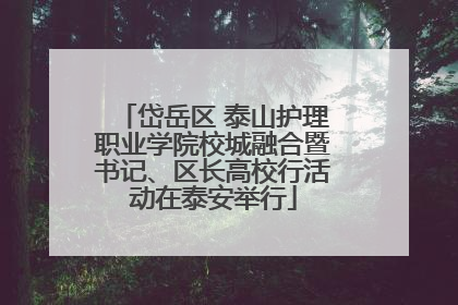 岱岳区 泰山护理职业学院校城融合暨书记、区长高校行活动在泰安举行