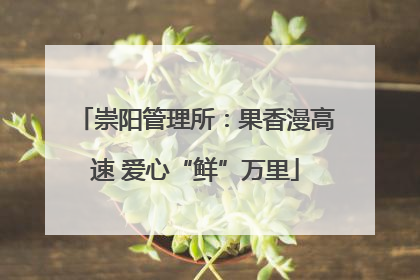 崇阳管理所：果香漫高速 爱心“鲜”万里