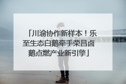 川渝协作新样本！乐至生态白鹅牵手荣昌卤鹅点燃产业新引擎