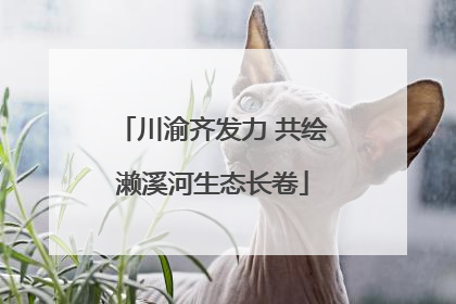 川渝齐发力 共绘濑溪河生态长卷