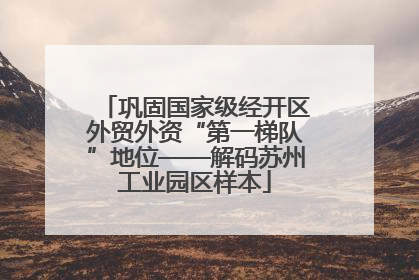 巩固国家级经开区外贸外资“第一梯队”地位——解码苏州工业园区样本
