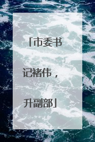 市委书记褚伟，升副部