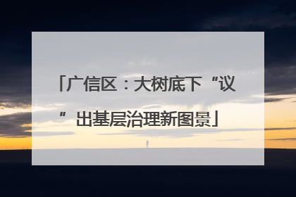 广信区：大树底下“议”出基层治理新图景