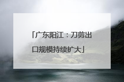 广东阳江：刀剪出口规模持续扩大