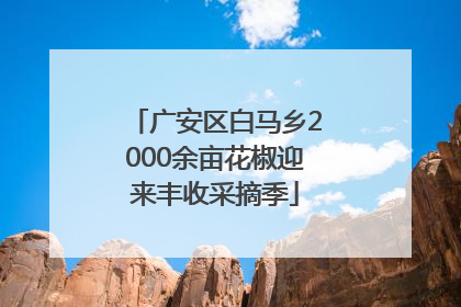 广安区白马乡2000余亩花椒迎来丰收采摘季