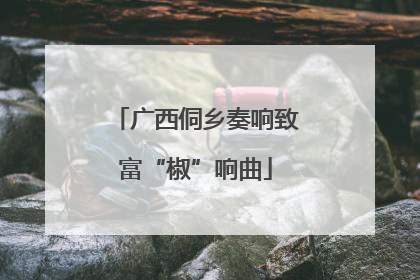 广西侗乡奏响致富“椒”响曲