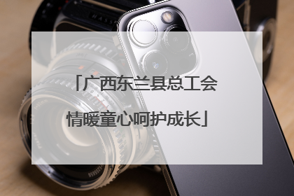 广西东兰县总工会情暖童心呵护成长