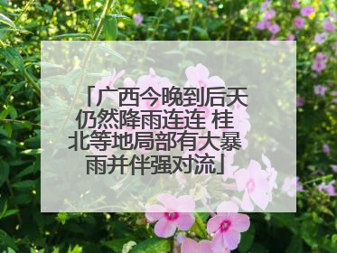 广西今晚到后天仍然降雨连连 桂北等地局部有大暴雨并伴强对流