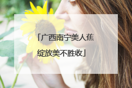 广西南宁美人蕉绽放美不胜收