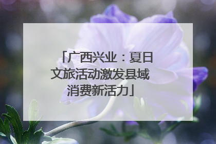 广西兴业：夏日文旅活动激发县域消费新活力