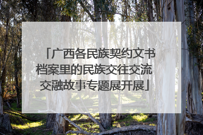 广西各民族契约文书档案里的民族交往交流交融故事专题展开展
