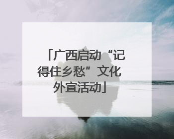 广西启动“记得住乡愁”文化外宣活动