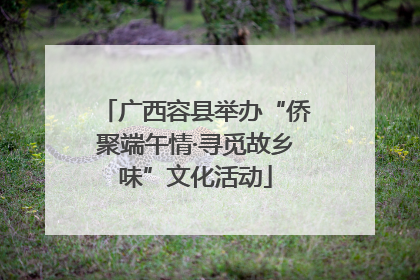 广西容县举办“侨聚端午情·寻觅故乡味”文化活动