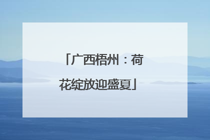 广西梧州：荷花绽放迎盛夏
