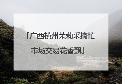 广西横州茉莉采摘忙 市场交易花香飘