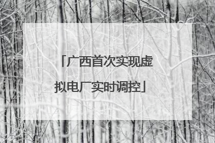 广西首次实现虚拟电厂实时调控
