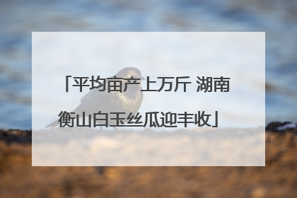 平均亩产上万斤 湖南衡山白玉丝瓜迎丰收