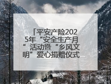 平安产险2025年“安全生产月”活动暨“乡风文明”爱心捐赠仪式在菏泽单县举行