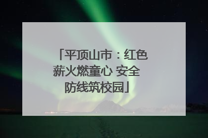 平顶山市：红色薪火燃童心 安全防线筑校园