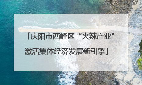 庆阳市西峰区“火辣产业”激活集体经济发展新引擎