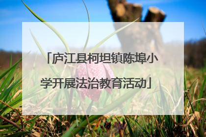 庐江县柯坦镇陈埠小学开展法治教育活动