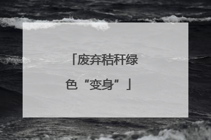 废弃秸秆绿色“变身”