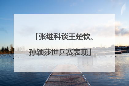 张继科谈王楚钦、孙颖莎世乒赛表现