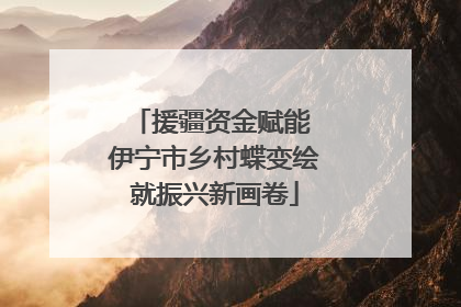 援疆资金赋能 伊宁市乡村蝶变绘就振兴新画卷