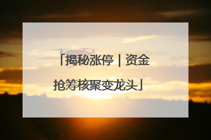揭秘涨停｜资金抢筹核聚变龙头