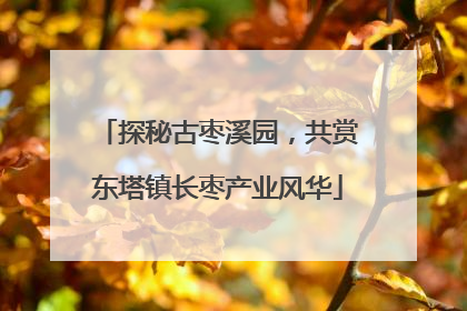 探秘古枣溪园，共赏东塔镇长枣产业风华