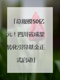总规模50亿元！四川省成果转化引导基金正式启动