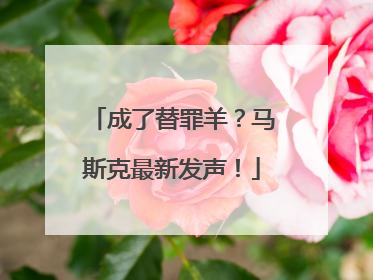 成了替罪羊？马斯克最新发声！