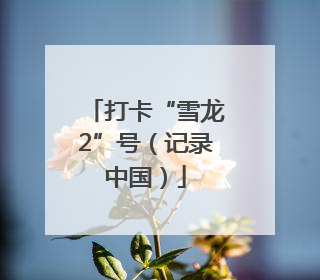 打卡“雪龙2”号（记录中国）